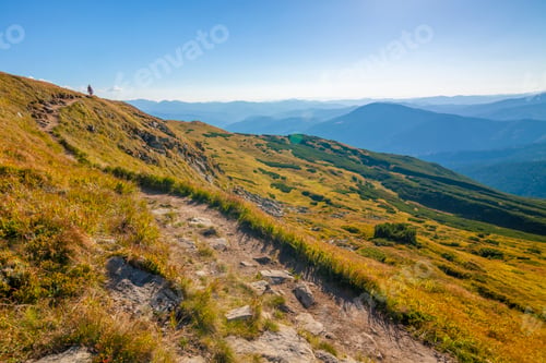 Preview: Panorama of Carpathian mountains in summer sunny day.