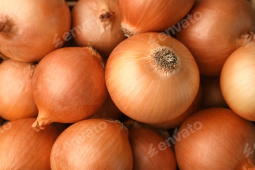 Preview: Many ripe onion bulbs as background, closeup
