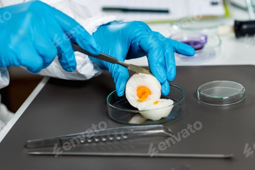 Preview: Food safety