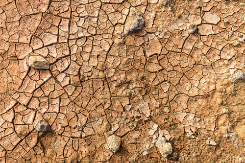 Preview: Dry and cracked ground as brown background