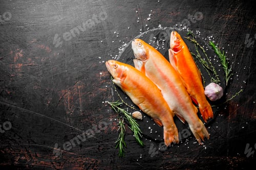 Preview: Raw fish trout on a stone Board with rosemary and garlic.