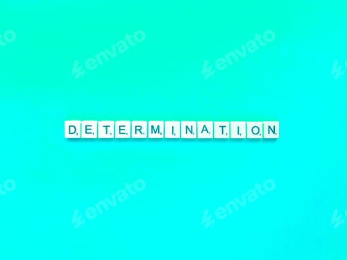 Preview: determination