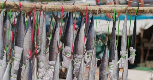 Preview: Sai Kung, Hong Kong 14 August 2020: salted fish hanging on the boat