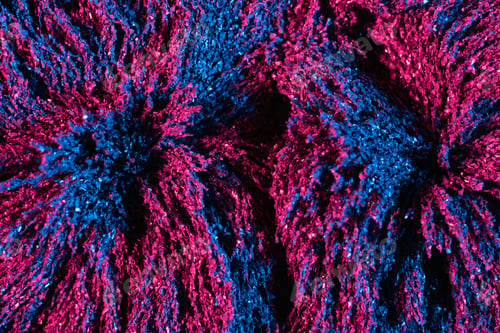 Preview: Ferrofluid illuminated with neon light