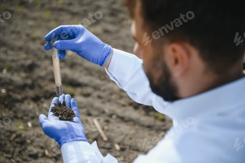 Preview: Agronomist studying samples of soil in field