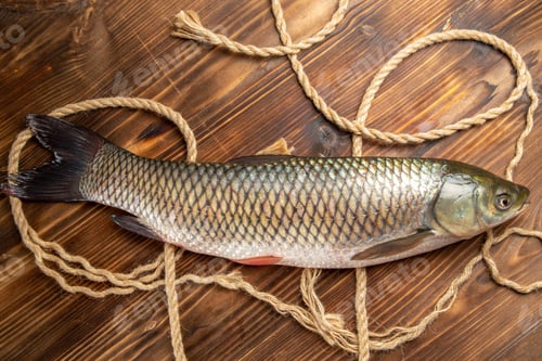 Preview: top view fresh fish with ropes on wooden desk food seafood dish ocean