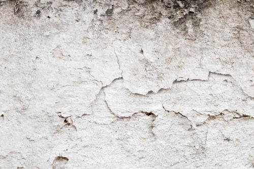 Preview: Light Gray Stucco Wall Texture. Abstract Background