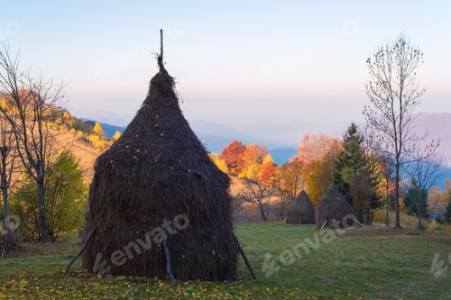 Preview: Stack dry hay on a mountain meadow