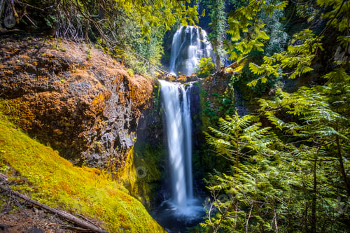 Preview: Falls Creek Falls In Gifford Pinchot National Forest, Washington