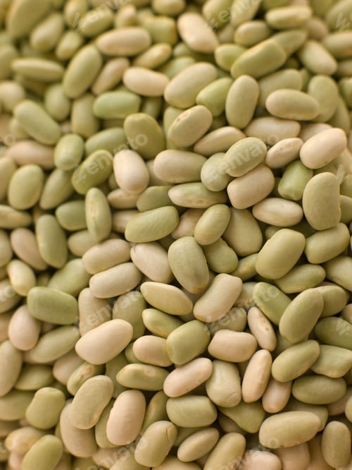 Preview: Flagelot Beans