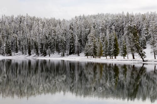 Preview: Yellowstone River in winter, Yellowstone National Park, Wyoming, USA