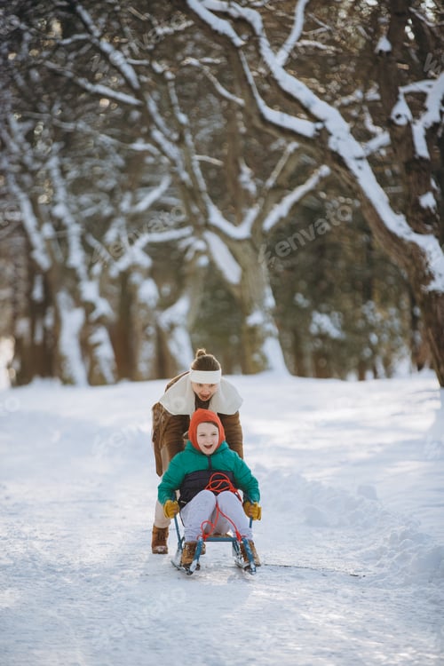 Preview: Mother pulling son on sled in winter park