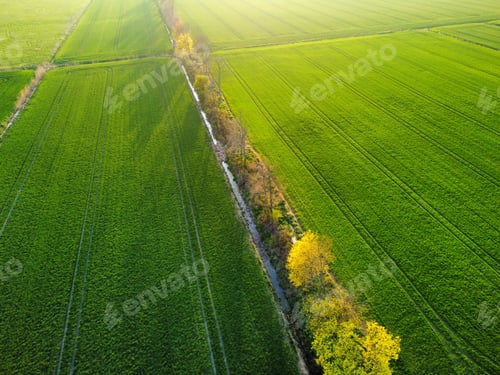 Preview: Aerial view of a green field