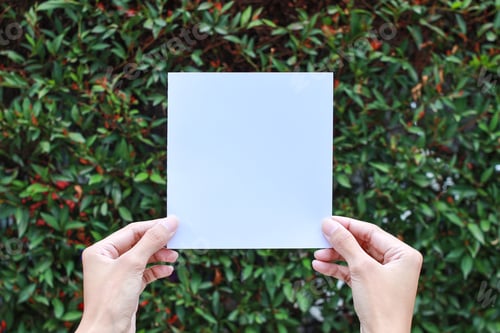 Preview: Place it - Invitation Card Mockup