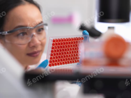 Preview: Scientist preparing a micro plate with blood samples for medical testing in a laboratory