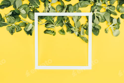 Preview: blank white frame and green leaves on yellow