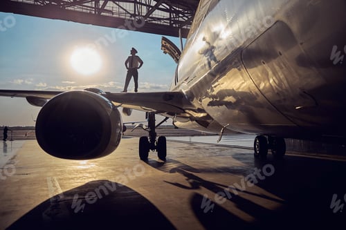 Preview: View of parts of commercial aircraft isolated on the sun background