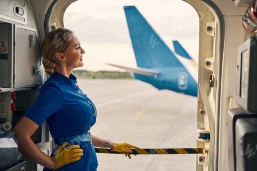 Preview: Dreamy stewardess gazing out of the open aircraft