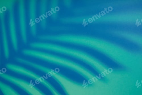 Preview: Beautiful monstera leaves shadow colored background in artificial light