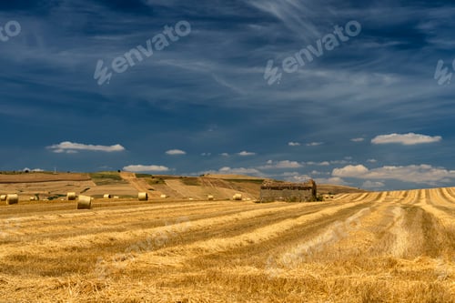 Preview: Rural landscape in Basilicata at summer