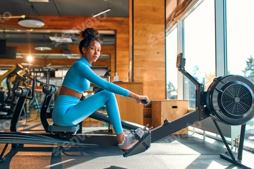 Preview: Sports and gym activities