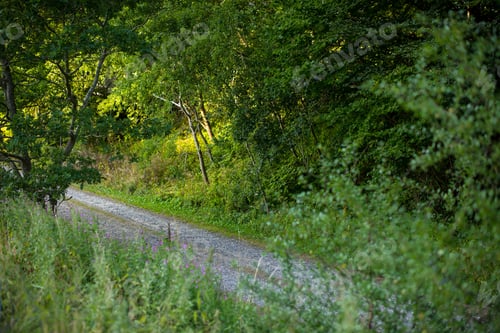 Preview: From one place to another. Leading to somewhere.