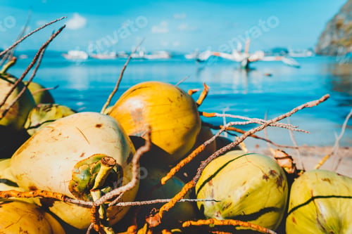 Preview: Close up of coconut fruits on the corong corong beach in El Nido, Palawan, Philippines