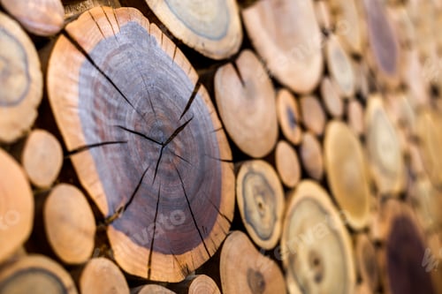 Preview: Perspective view of round wooden unpainted solid natural ecological soft colored brown and yellow