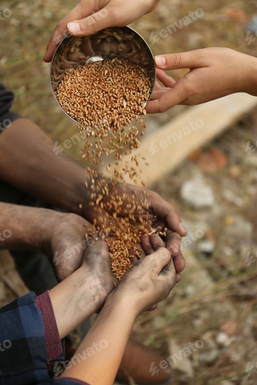 Preview: Woman giving poor homeless people bowl of wheat outdoors, closeup