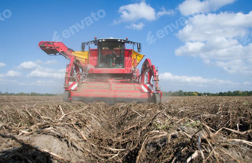 Preview: potato harvester machine