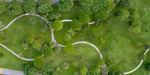 Preview: Beautiful aerial view of a grass pasture with green trees in a garden area