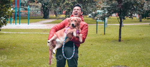 Preview: Young Colombian male carrying a heavy golden retriever in a park
