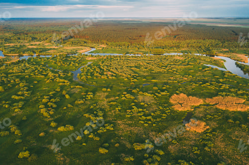 Preview: Aerial View Green Forest Woods And River Landscape In Sunny Spri