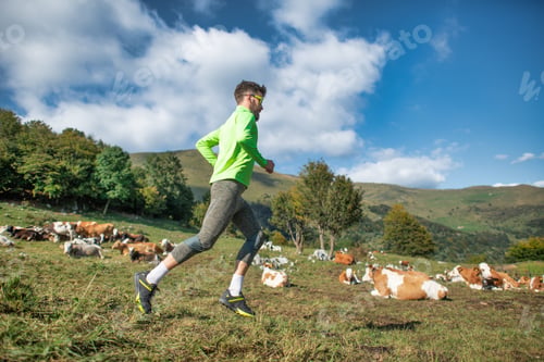 Preview: Runner trains in nature near cows