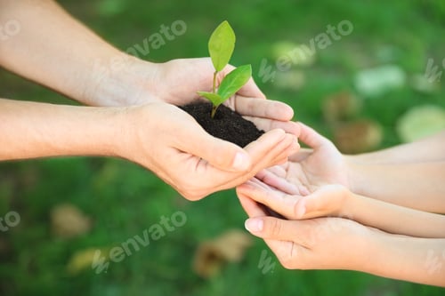 Preview: Man passing soil with green plant to his family on blurred background