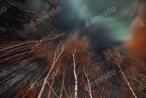 Preview: Aurora Northern Lights