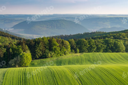 Preview: Beautiful landscape shot of green fields on hills surrounded by a green forest