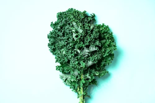 Preview: Fresh green raw kale leaves on trendy green background. Top view. Copy space. Superfood and healthy