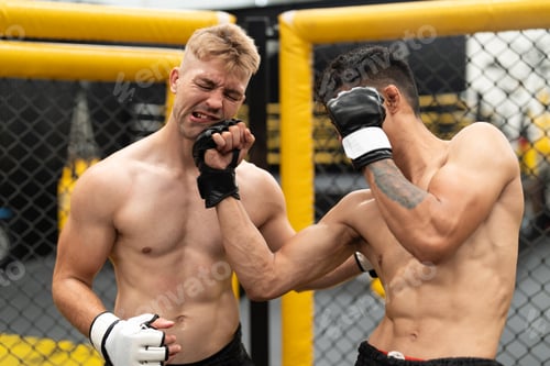 Preview: Athletes men boxers MMA fighter fight in a cage boxing ring octagon, Boxer kickboxing in gym.