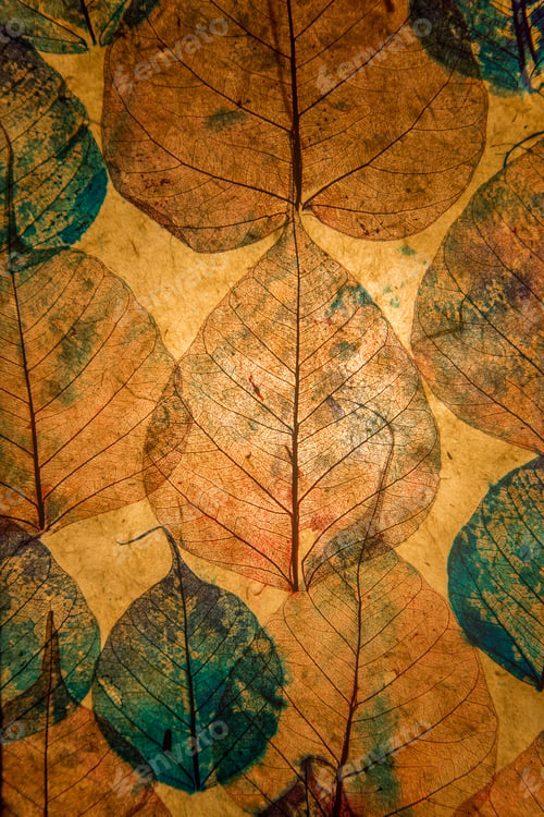 Preview: Autumn leaves