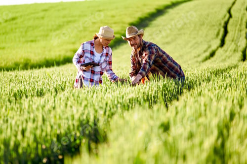 Preview: Agriculture