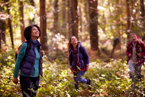 Preview: Group Of Young Female Friends On Camping Holiday Hiking Through Woods And Enjoying Nature Together