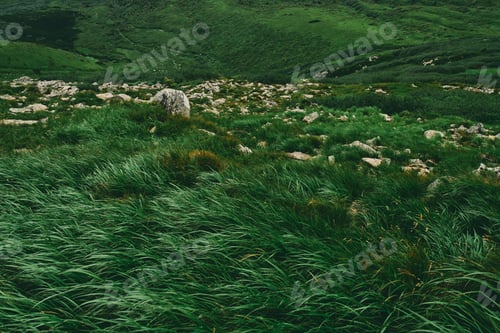 Preview: Hiking and recreation