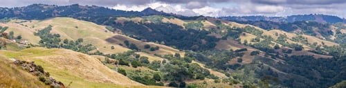 Preview: Rolling hills in the South San Francisco bay area, San Jose, California