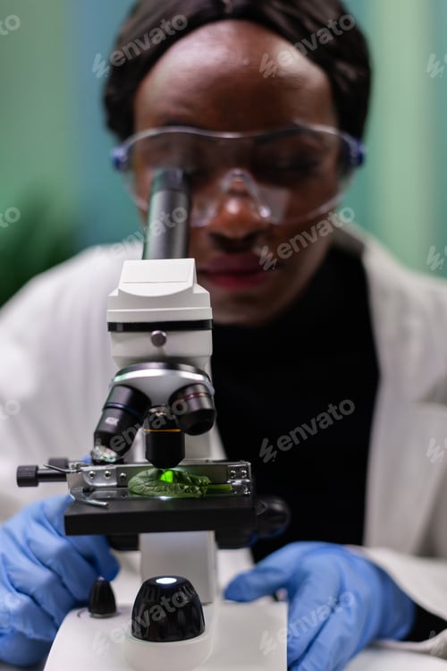 Preview: Closeup of african american botanist researcher analyzing green leaf sample