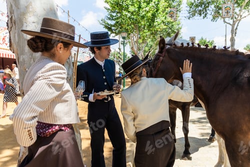 Preview: Serious elegant riders examining horse on street