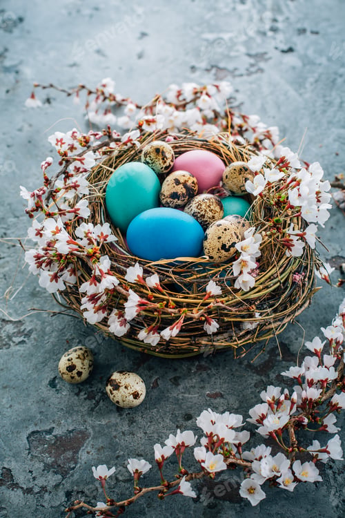 Preview: Colorful Easter eggs in a nest with flowering branch