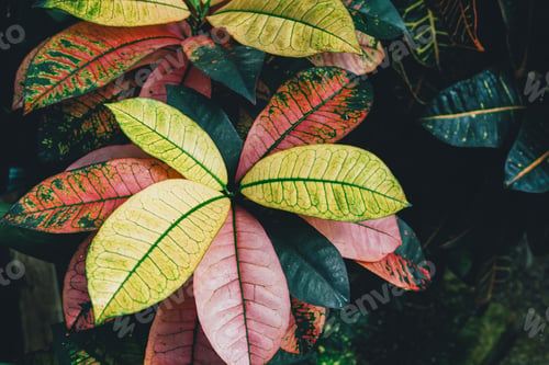 Preview: Colorful Tropical Leaves in Vibrant Green, Yellow, and Pink Hues