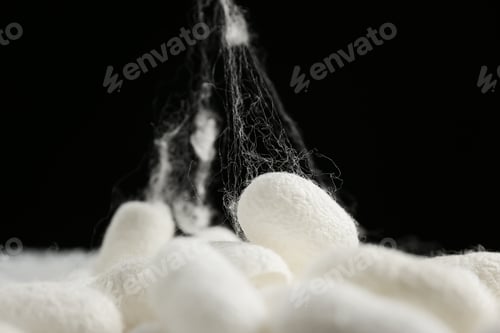 Preview: Heap of white silk cocoons on black background, closeup