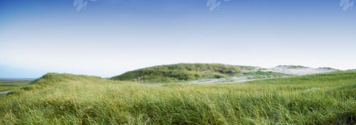 Preview: The west coast beach of Jutland, Denmark